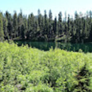 Meet your Posher, Evan